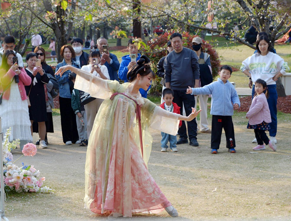 清明假期期間，上海顧村公園櫻花島上，游客在觀賞國風(fēng)漢服快閃表演。（圖片來源：視覺中國）