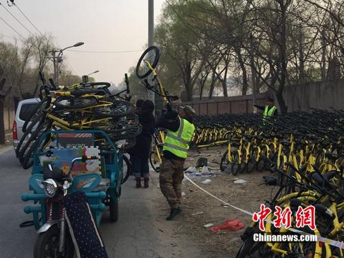 有故障的共享單車正源源不斷地送到維修點。<a target='_blank'  _fcksavedurl='http://www.chinanews.com/' ></table>中新網(wǎng)</a> 吳濤 攝