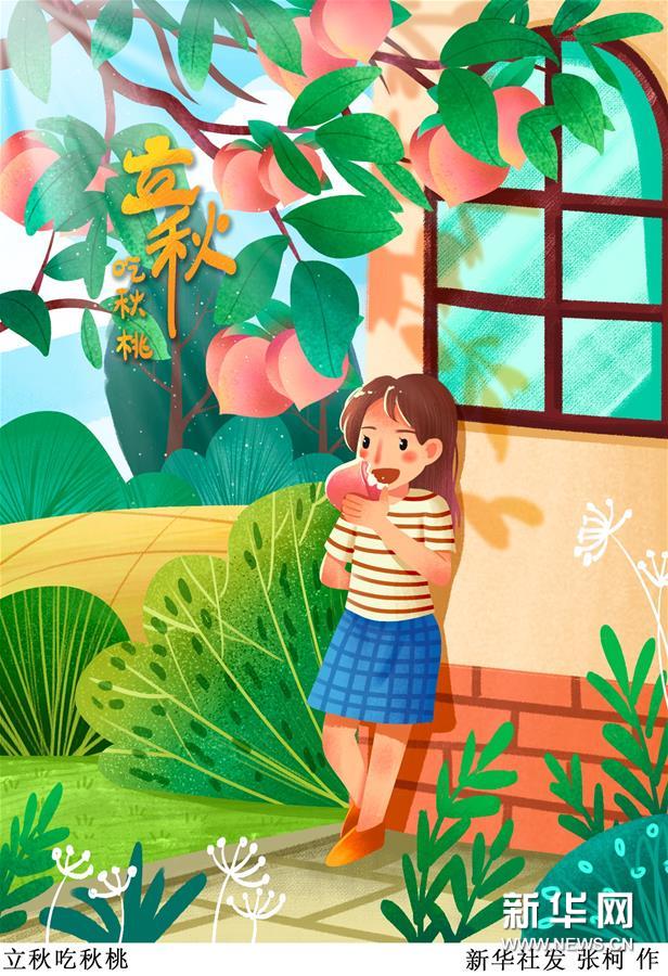 （圖表&middot;插畫）［二十四節(jié)氣&middot;立秋］立秋吃秋桃