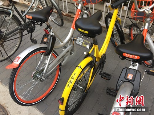 資料圖。某輛共享單車號碼被損。<a target='_blank'  _fcksavedurl='http://www.chinanews.com/' ></table>中新網(wǎng)</a> 吳濤 攝